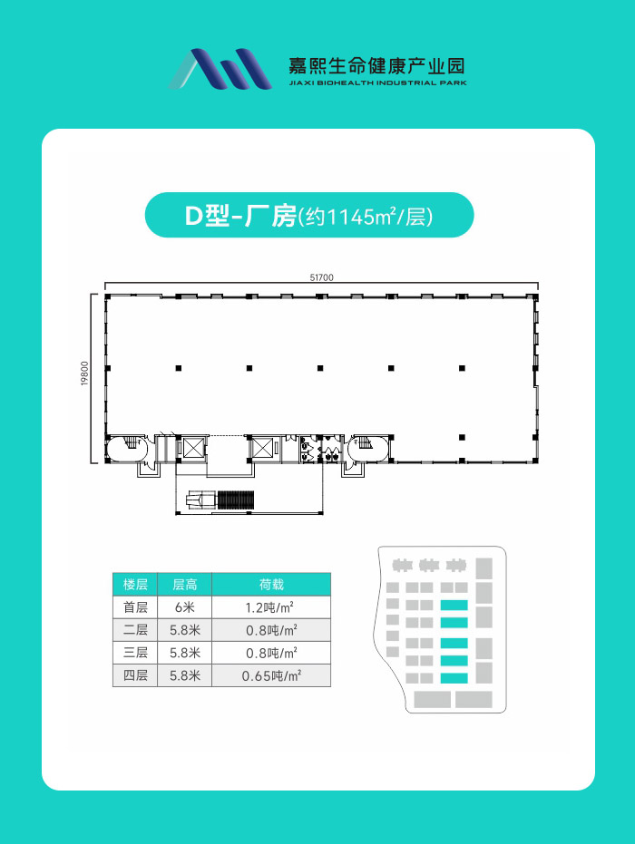 D型-厂房(约1145㎡/层)